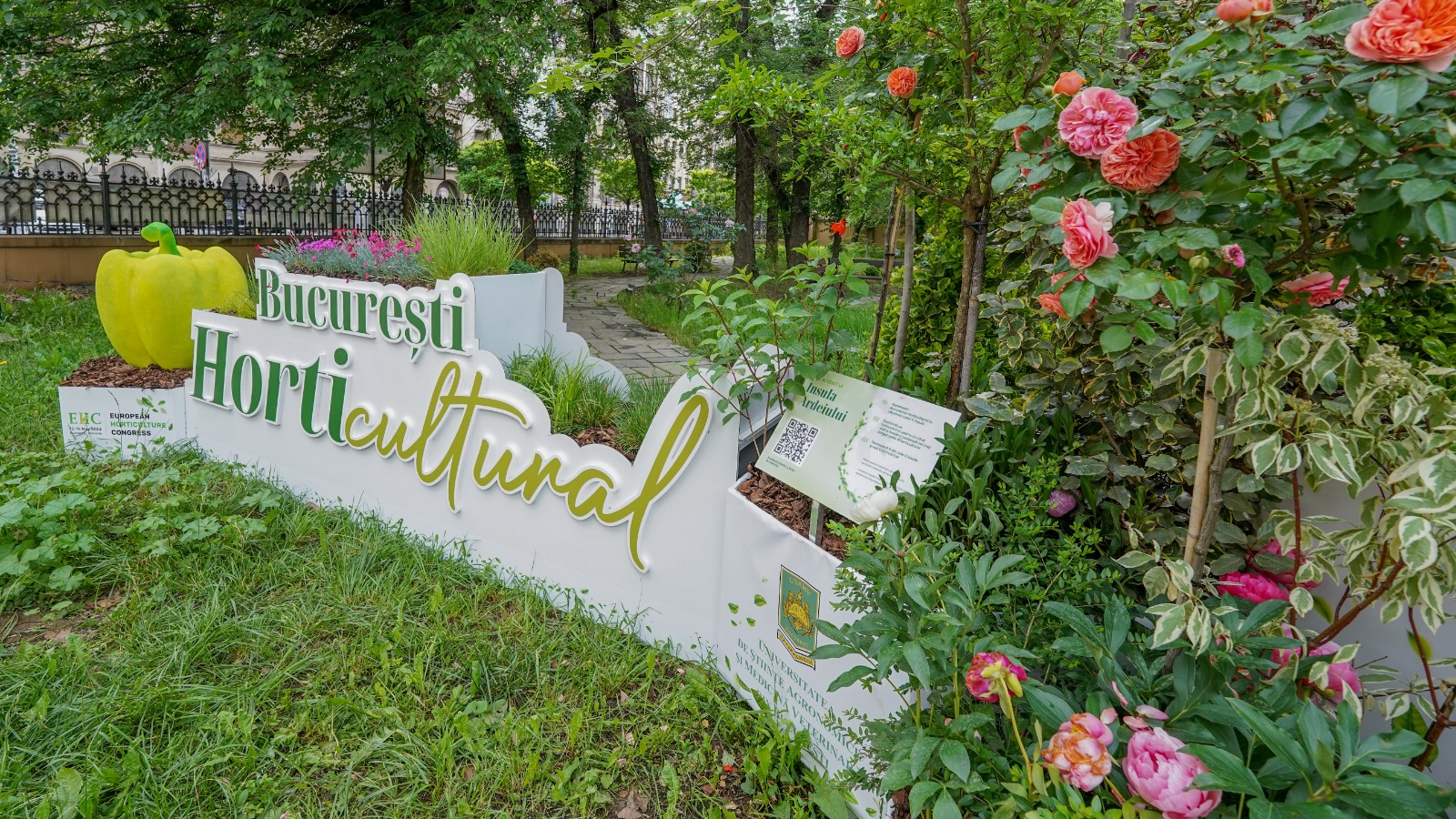 Intră în concursul  ”Bucureștiul HORTIcultural” și câștigă premiul tău!