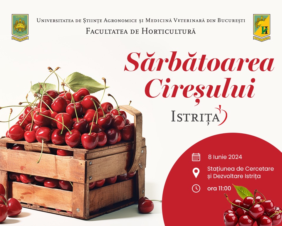 Sărbătoarea cireșului - Istrița