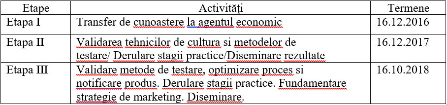 Activitati Strawsort