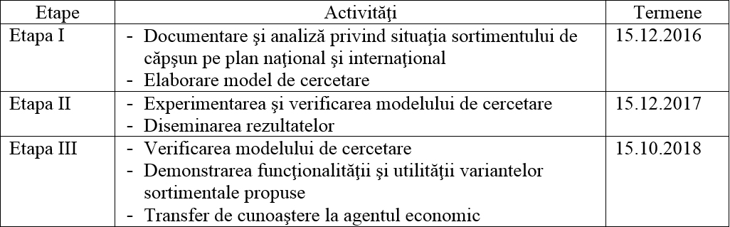 Activitati Strawsort