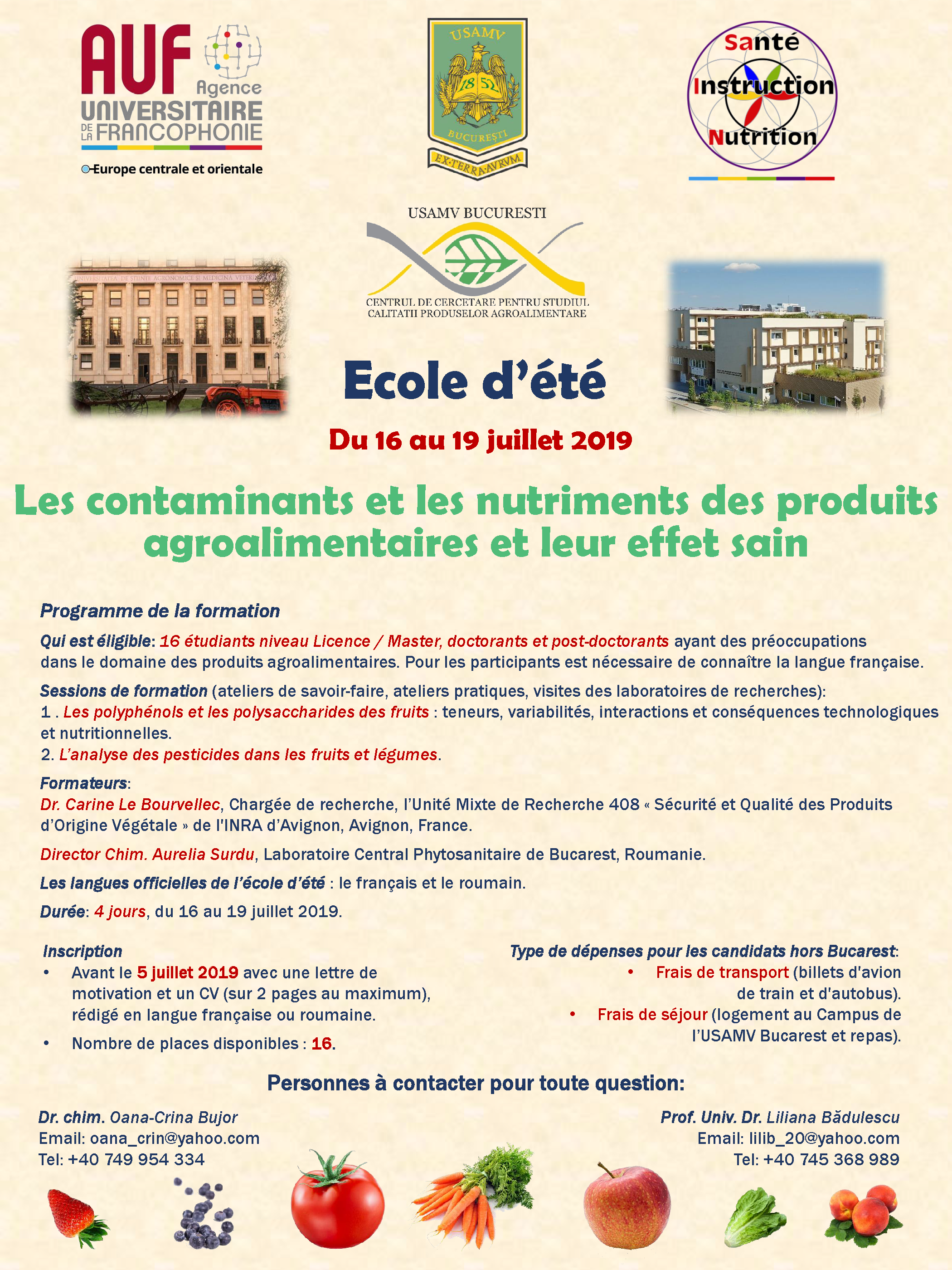 Appel à candidatures Ecole d’été SAIN 2019
