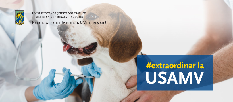START Admitere Medicină Veterinară Sesiunea a II-a