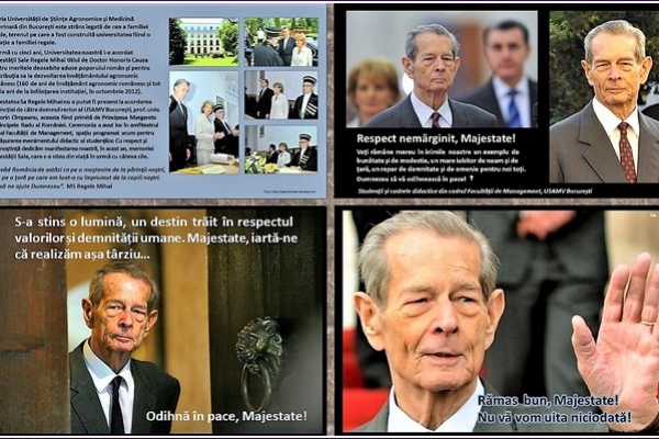 7k6h4a0-j4a1A73E3921-E0B3-463E-921B-E98F7B44CD51.jpg