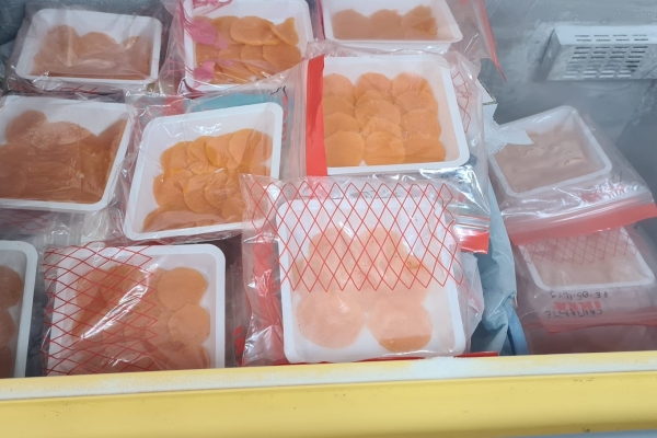 cartof-dulce-in-freezerFE52B01E-1532-2FFC-6F0B-6A01711681ED.jpg