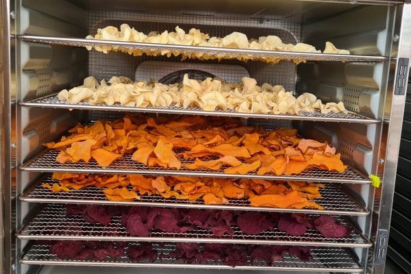 chipsuri-din-legume-ecologice-deshidratate84B68862-930D-6911-04A4-E79318E10447.jpg