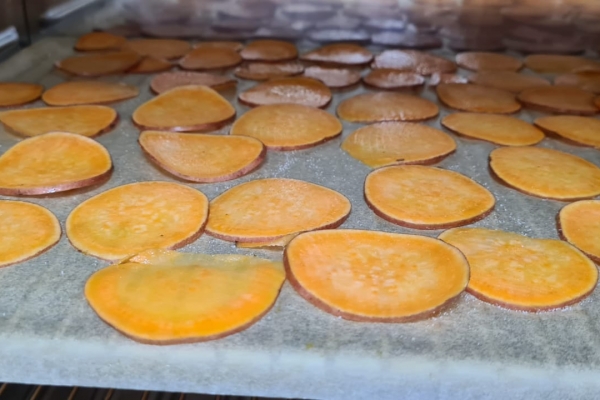 deshidratare-cartof-dulce24B792EE-838E-8BA6-BDF7-5ACD21C1A948.jpg