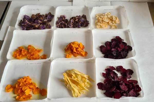 variante-experimentale-de-chipsuri-din-legume3F2C374D-6CCC-3045-E507-70D97B442F24.jpg